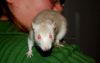 DSC_0187~4.jpg