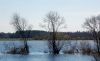 DSC_0188~3.jpg