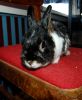 DSC_0188~7.jpg