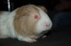DSC_0190~1.jpg