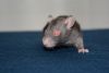 DSC_0190~3.jpg