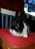 DSC_0191~3.jpg