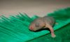 DSC_0192~7.jpg