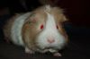 DSC_0194~6.jpg
