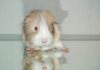 DSC_0195~2.jpg