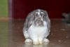 DSC_0198~5.jpg