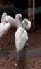 DSC_0199~0.jpg