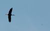 DSC_0199~2.jpg