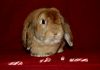 DSC_0201~0.jpg