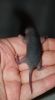 DSC_0202~3.jpg