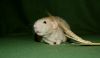 DSC_0206~0.jpg