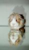 DSC_0206~6.jpg