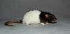 DSC_0210~0.jpg