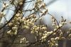 DSC_0212~2.jpg