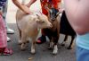 DSC_0213~0.jpg