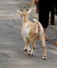 DSC_0214~0.jpg
