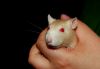 DSC_0214~4.jpg
