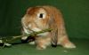 DSC_0215~0.jpg