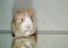 DSC_0220~4.jpg