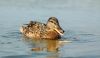 DSC_0221~5.jpg