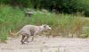 DSC_0225~13.jpg