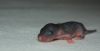 DSC_0226~7.jpg