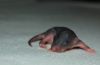 DSC_0230~4.jpg