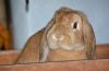DSC_0235~10.jpg
