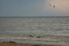 DSC_0235~14.jpg