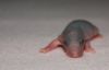 DSC_0238~5.jpg
