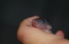 DSC_0242~4.jpg