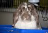 DSC_0246~4.jpg