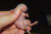 DSC_0251~4.jpg
