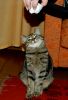 DSC_0258~1.jpg