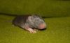 DSC_0259~4.jpg