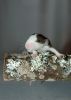 DSC_0262~4.jpg