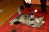 DSC_0276~0.jpg