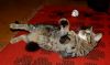 DSC_0279~0.jpg