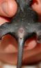 Filename=DSC_0282.jpg
Filesize=102KiB
Dimensions=725x1200
Date added=Aug 15, 2012 DSC_0282.jpg
