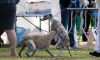 Filename=DSC_0282~1.jpg
Filesize=139KiB
Dimensions=1200x727
Date added=Jul 23, 2017 DSC_0282~1.jpg