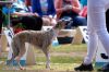 Filename=DSC_0284~9.jpg
Filesize=141KiB
Dimensions=1200x798
Date added=Jul 23, 2017 DSC_0284~9.jpg