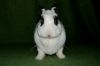 DSC_0288~0.jpg