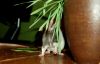 DSC_0291~1.jpg