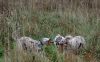 DSC_0294~10.jpg