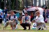 Filename=DSC_0294~8.jpg
Filesize=200KiB
Dimensions=1200x787
Date added=Jul 23, 2017 DSC_0294~8.jpg