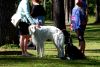 Filename=DSC_0299~4.jpg
Filesize=207KiB
Dimensions=1200x806
Date added=Jul 23, 2017 DSC_0299~4.jpg