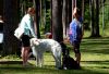 Filename=DSC_0300~8.jpg
Filesize=218KiB
Dimensions=1200x826
Date added=Jul 23, 2017 DSC_0300~8.jpg