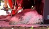 Filename=DSC_0304~2.jpg
Filesize=124KiB
Dimensions=1200x727
Date added=Jul 23, 2017 DSC_0304~2.jpg