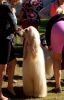 Filename=DSC_0308~11.jpg
Filesize=136KiB
Dimensions=769x1200
Date added=Jul 23, 2017 DSC_0308~11.jpg