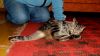 Filename=DSC_0312~1.jpg
Filesize=182KiB
Dimensions=1200x675
Date added=Oct 17, 2011 DSC_0312~1.jpg